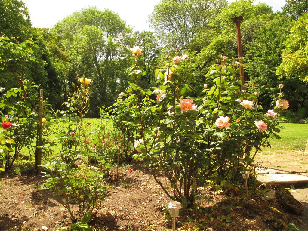Old Manor House Bed and Breakfast Shepperton Εξωτερικό φωτογραφία